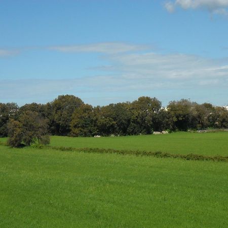 Masseria Gattamora Uggiano la Chiesa Kültér fotó
